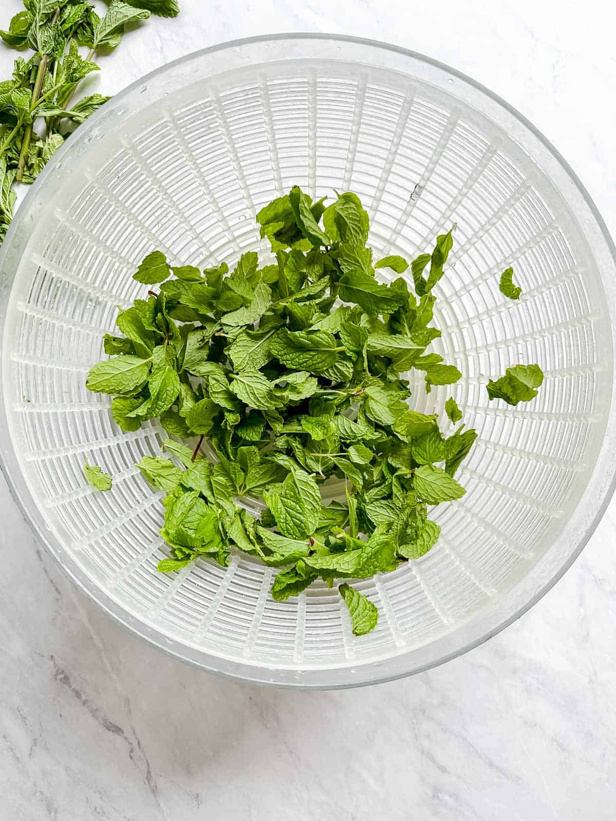 Fresh mint in colander