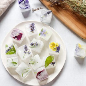 Ice cubes with flowers and herbs in them on a white plate.