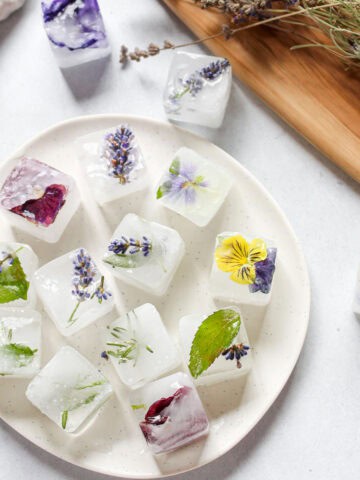 Ice cubes with flowers and herbs in them on a white plate.