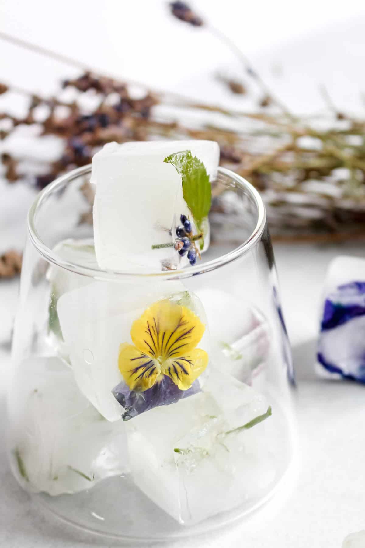 Ice cubes with flowers and herbs in them in a glass.