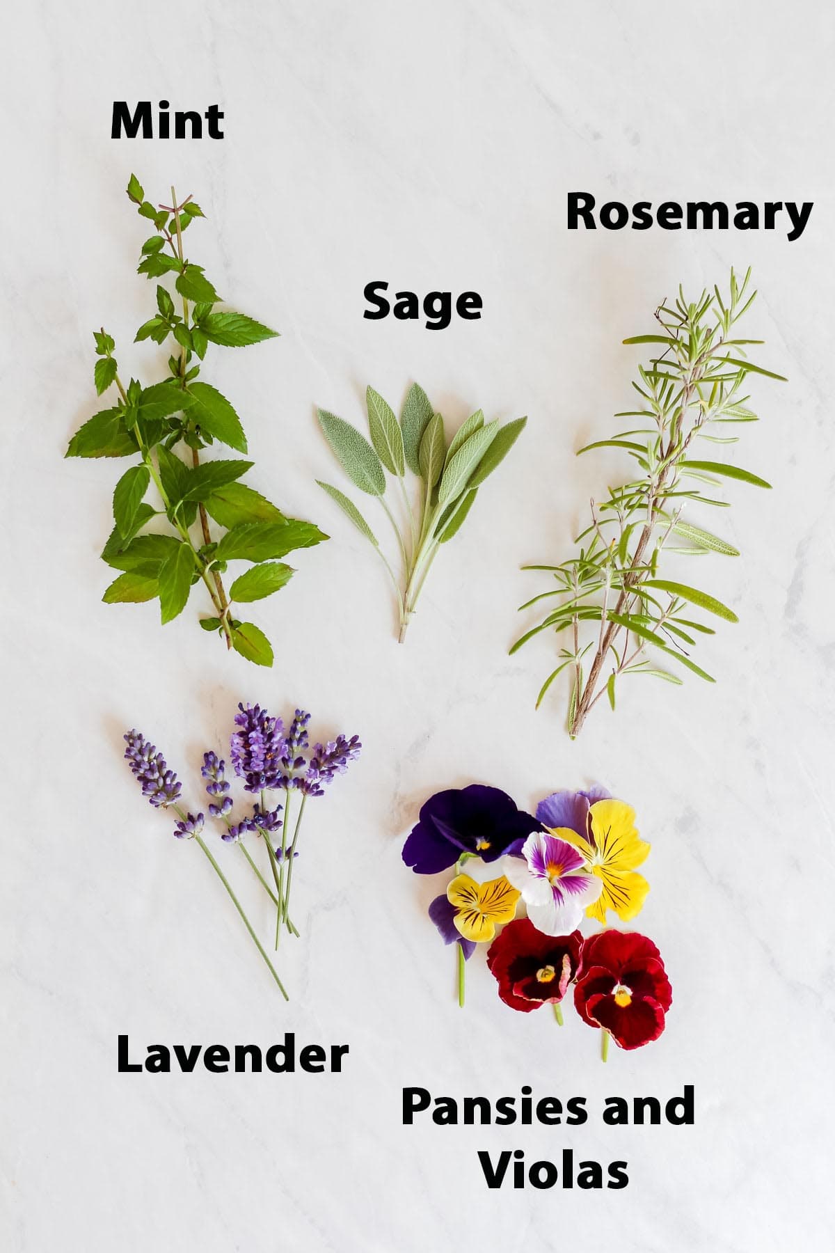 Herbs and flowers on a white marble surface.
