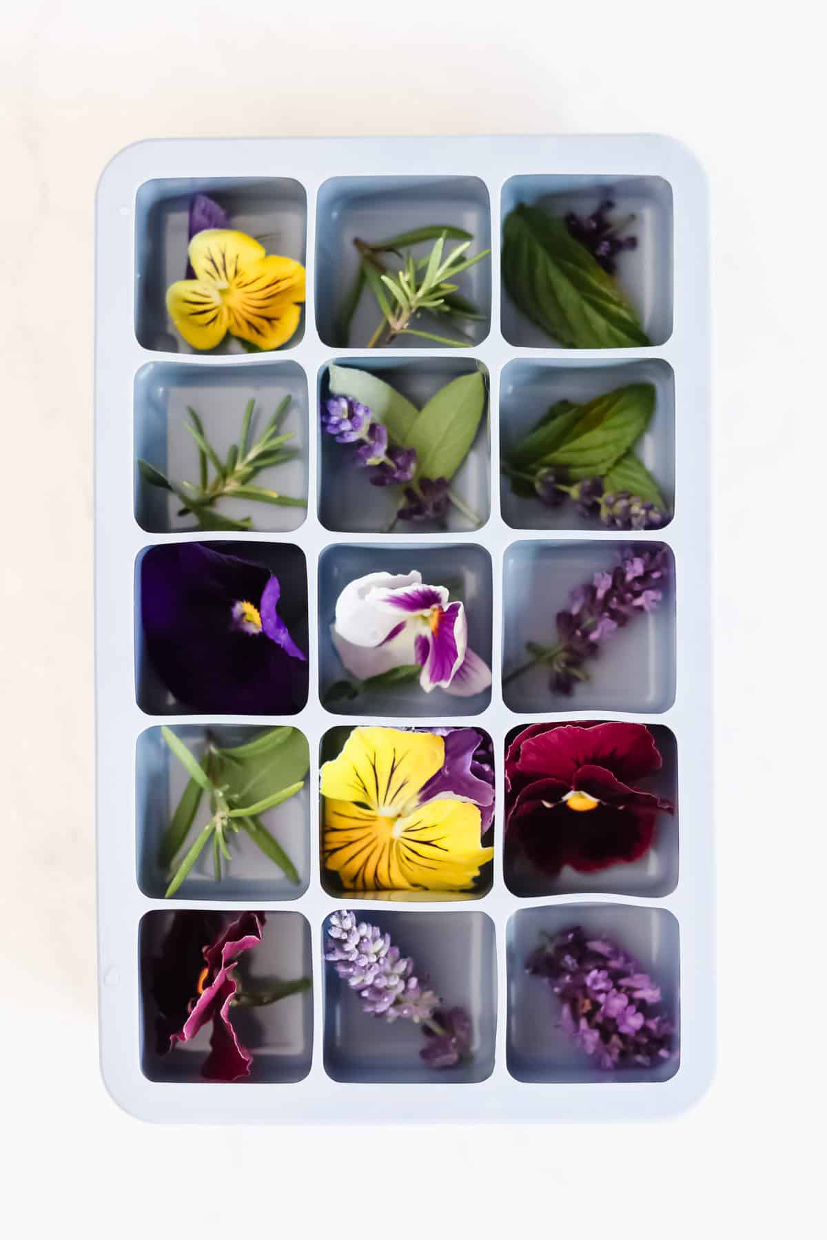 Ice cube tray filled with edible flowers and herbs on white background.