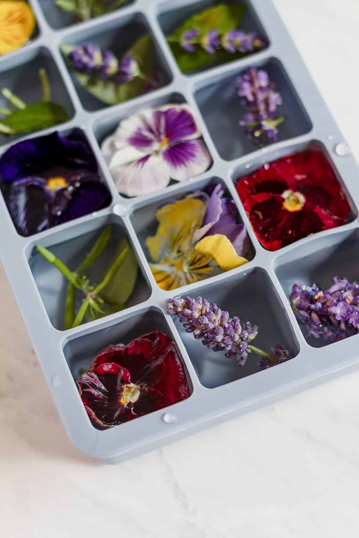 Ice cube tray filled with flowers, herbs, and water