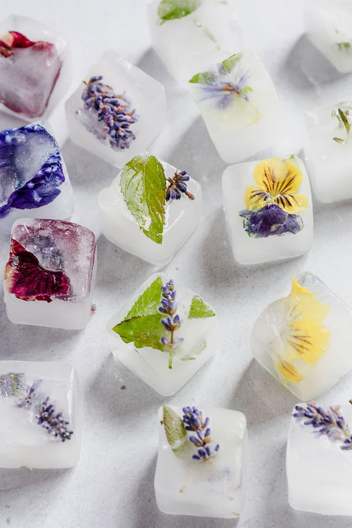 Floral ice cubes on a white background